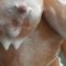 Louisa Khovanski Nude Soapy Shower Video Leaked.mp4
