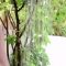 Amanda Cerny Nude Outdoor Shower Leaked Video.mp4