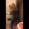 Russian Girls Twerking In The Kitchen.mp4
