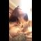 Daniela Basadre Nude Boobs Massage Porn Video Leaked